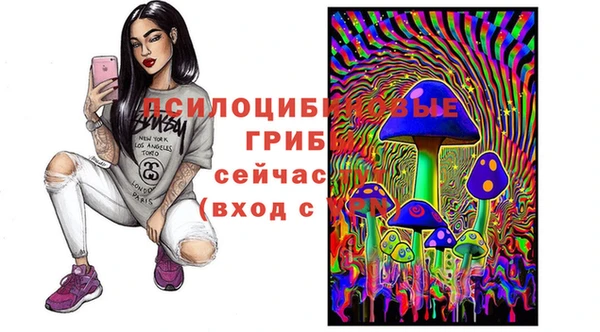 амф Алзамай